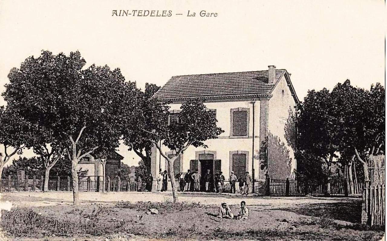 Ain Tedeles 521.jpg